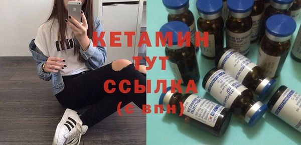 крисы Алексин
