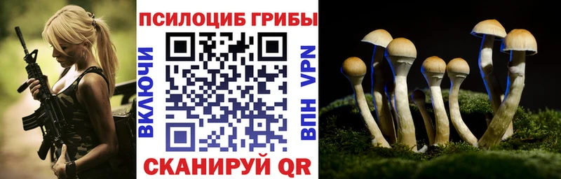 Галлюциногенные грибы GOLDEN TEACHER  Ак-Довурак 